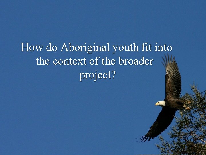 How do Aboriginal youth fit into the context of the broader project? 