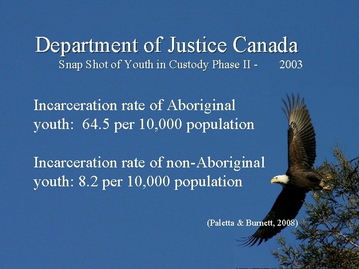 Department of Justice Canada Snap Shot of Youth in Custody Phase II - 2003