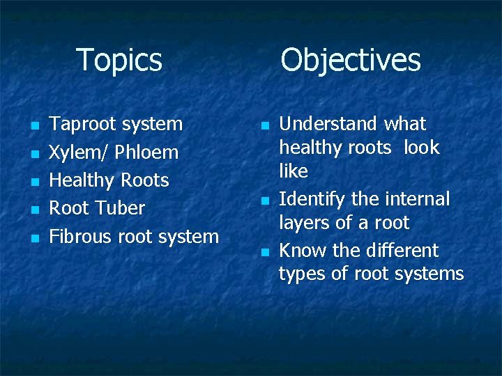 Objectives Topics n n n Taproot system Xylem/ Phloem Healthy Roots Root Tuber Fibrous