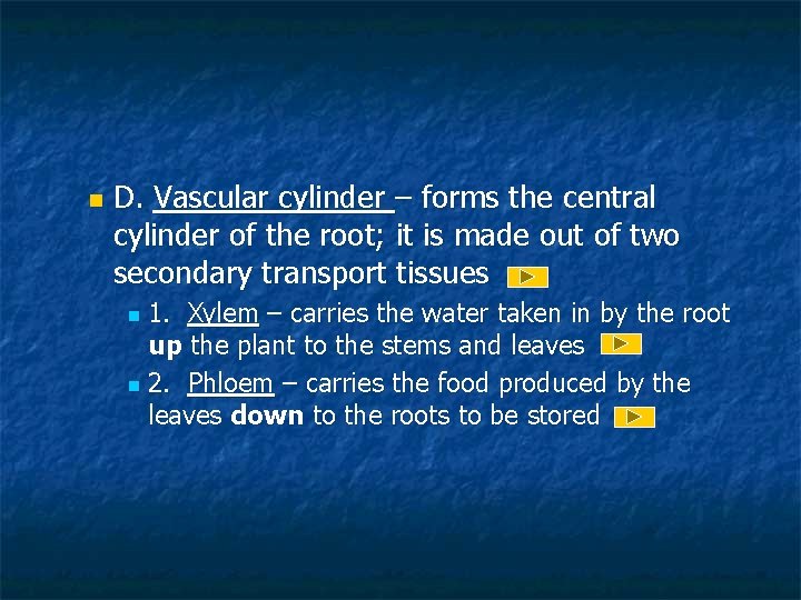 Plant Anatomy Roots Part 2 Objectives Topics n