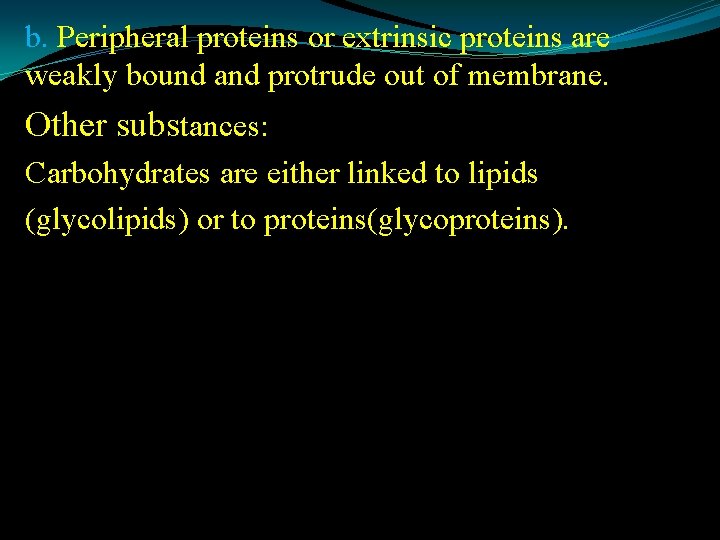 b. Peripheral proteins or extrinsic proteins are weakly bound and protrude out of membrane.