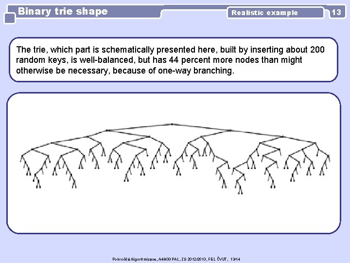Binary trie shape Realistic example The trie, which part is schematically presented here, built
