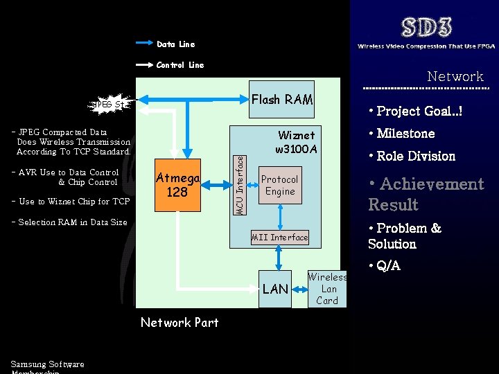 Data Line Control Line Network Flash RAM - JPEG Compacted Data Does Wireless Transmission