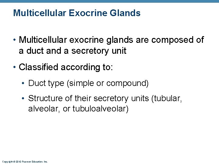 Multicellular Exocrine Glands • Multicellular exocrine glands are composed of a duct and a