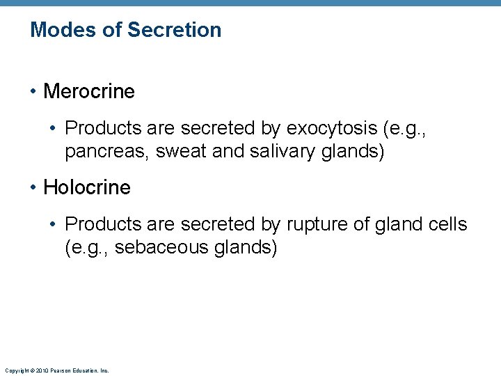 Modes of Secretion • Merocrine • Products are secreted by exocytosis (e. g. ,