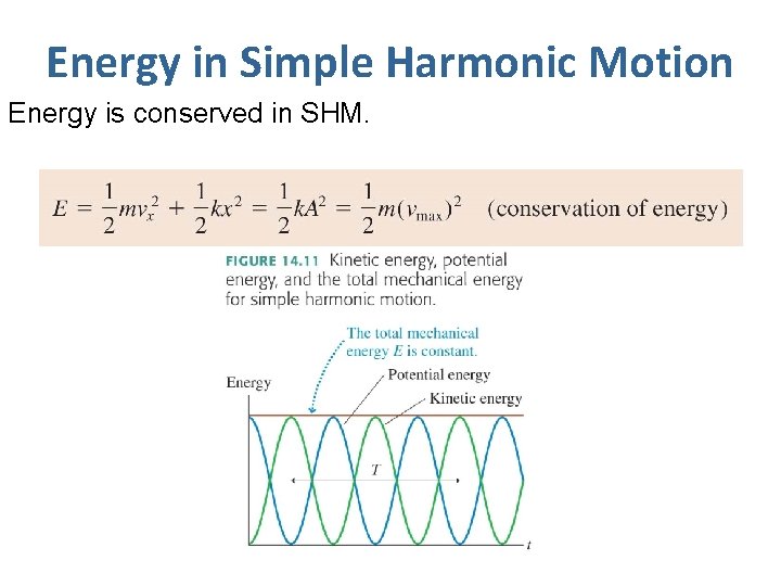 Energy in Simple Harmonic Motion Energy is conserved in SHM. 