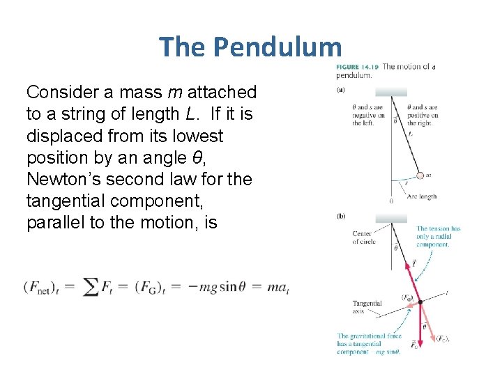 The Pendulum Consider a mass m attached to a string of length L. If