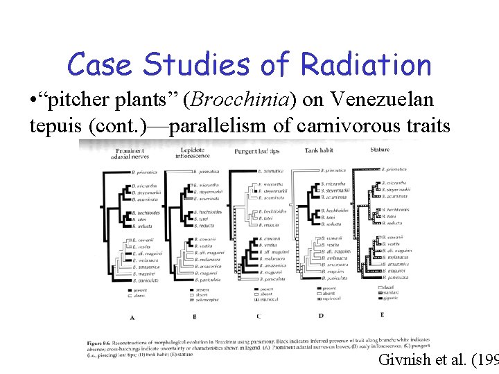 Case Studies of Radiation • “pitcher plants” (Brocchinia) on Venezuelan tepuis (cont. )—parallelism of