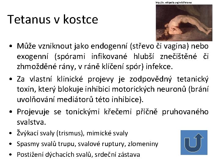 http: //cs. wikipedia. org/wiki/Tetanus v kostce • Může vzniknout jako endogenní (střevo či vagina)