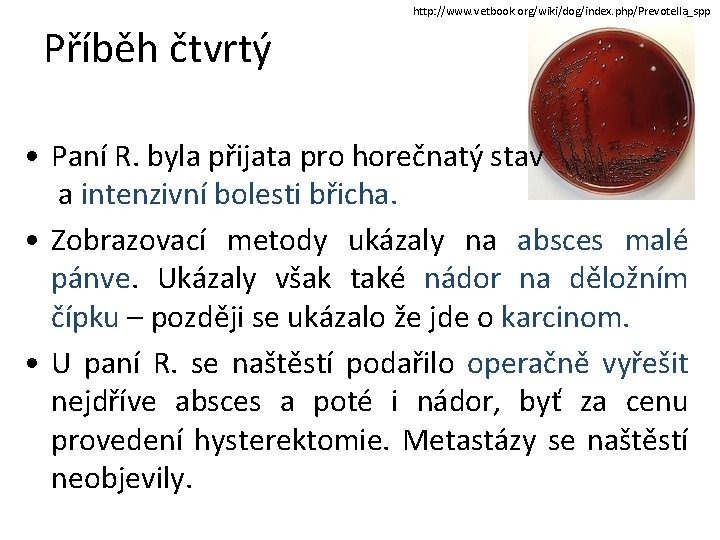 http: //www. vetbook. org/wiki/dog/index. php/Prevotella_spp Příběh čtvrtý • Paní R. byla přijata pro horečnatý