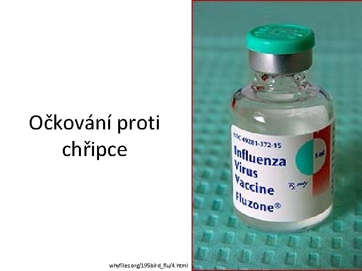 Očkování proti chřipce whyfiles. org/195 bird_flu/4. html 