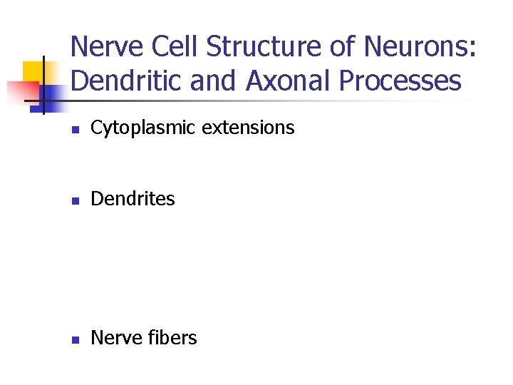 Nerve Cell Structure of Neurons: Dendritic and Axonal Processes n Cytoplasmic extensions n Dendrites