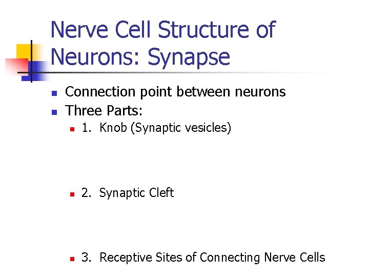 Nerve Cell Structure of Neurons: Synapse n n Connection point between neurons Three Parts: