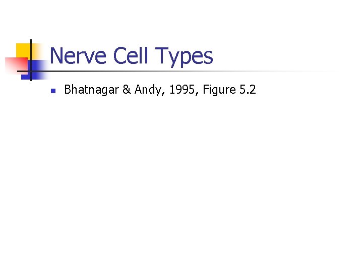 Nerve Cell Types n Bhatnagar & Andy, 1995, Figure 5. 2 