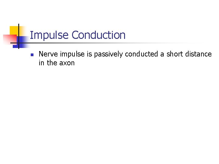 Impulse Conduction n Nerve impulse is passively conducted a short distance in the axon