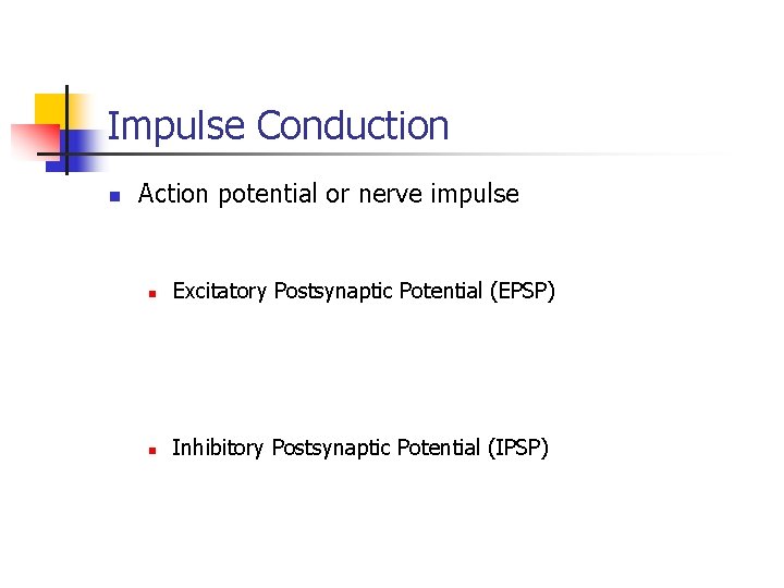 Impulse Conduction n Action potential or nerve impulse n Excitatory Postsynaptic Potential (EPSP) n