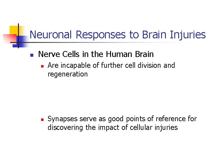 Neuronal Responses to Brain Injuries n Nerve Cells in the Human Brain n n