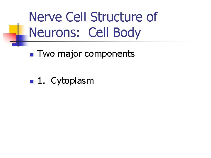 Nerve Cell Structure of Neurons: Cell Body n Two major components n 1. Cytoplasm