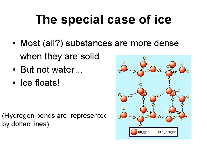 The special case of ice • Most (all? ) substances are more dense when