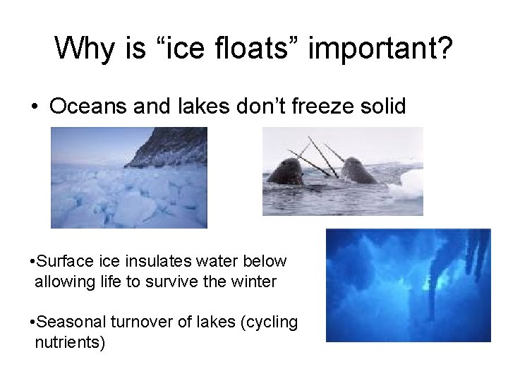 Why is “ice floats” important? • Oceans and lakes don’t freeze solid • Surface