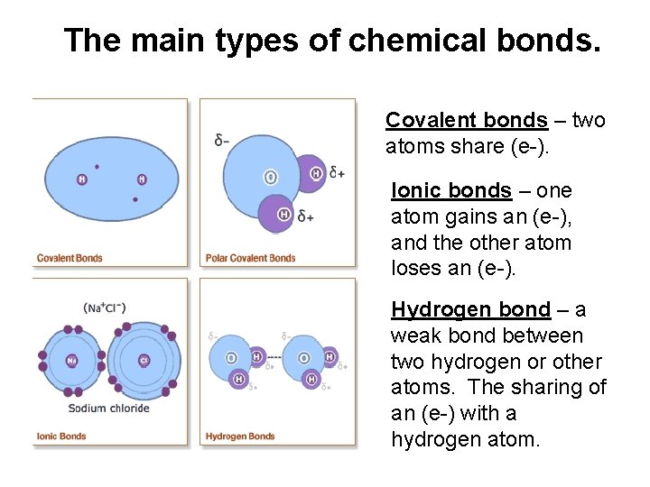  The main types of chemical bonds. Covalent bonds – two atoms share (e-).