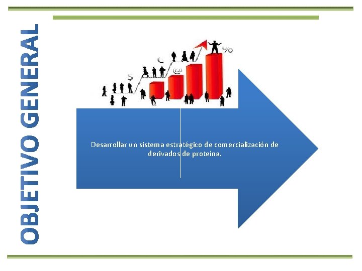 Desarrollar un sistema estratégico de comercialización de derivados de proteína. 