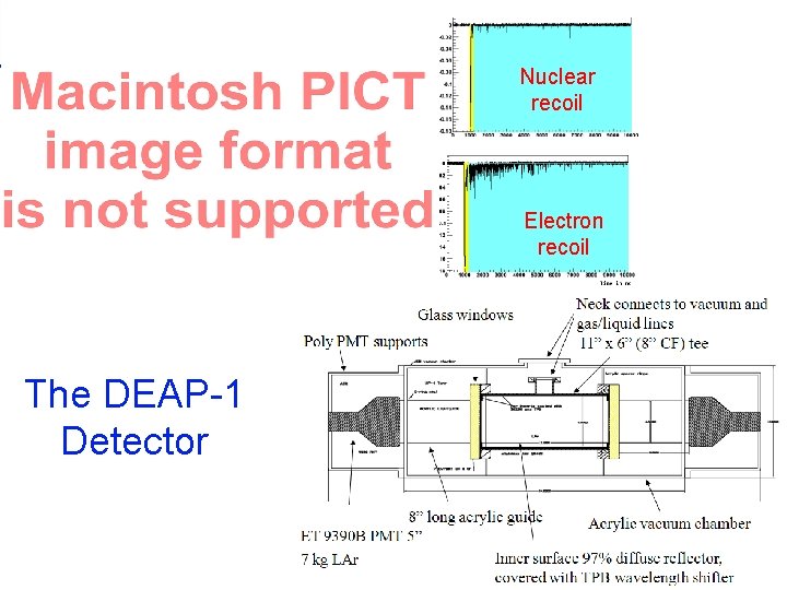 Nuclear recoil Electron recoil The DEAP-1 Detector 