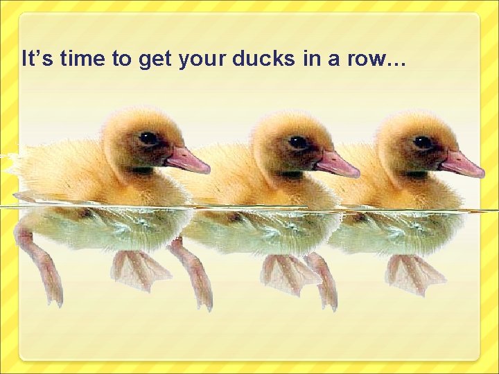 It’s time to get your ducks in a row… 