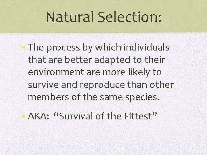 Natural Selection: • The process by which individuals that are better adapted to their