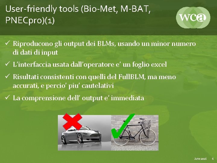 User-friendly tools (Bio-Met, M-BAT, PNECpro)(1) ü Riproducono gli output dei BLMs, usando un minor