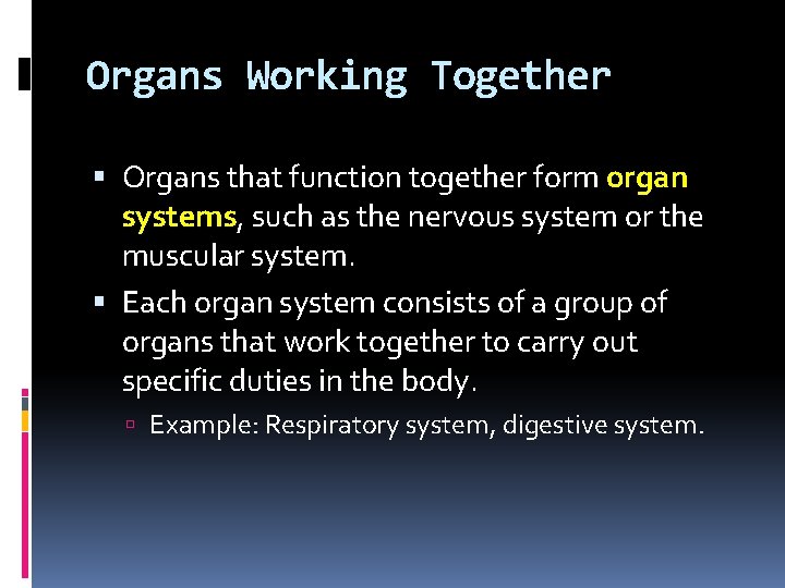 Organs Working Together Organs that function together form organ systems, such as the nervous