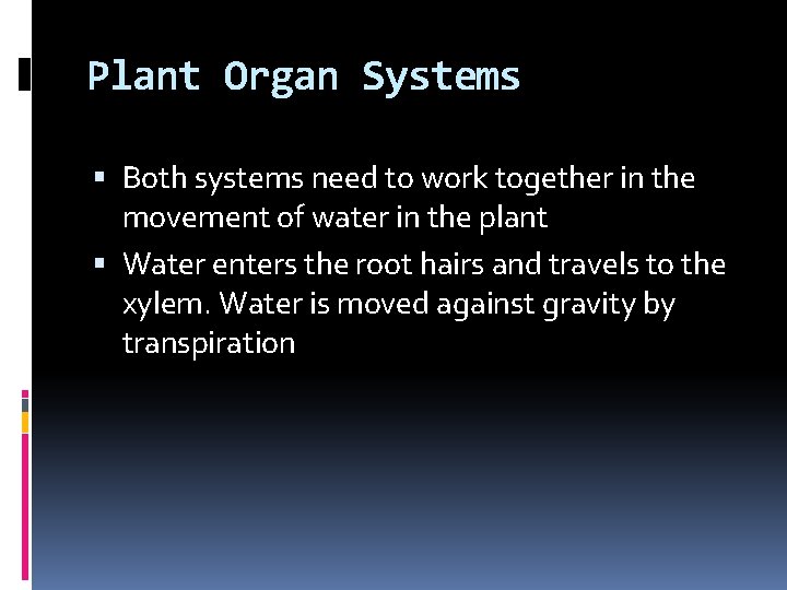 Plant Organ Systems Both systems need to work together in the movement of water