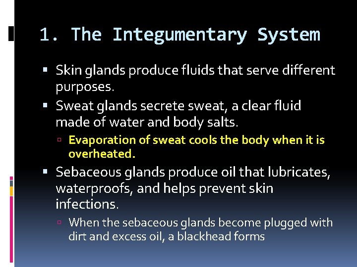 1. The Integumentary System Skin glands produce fluids that serve different purposes. Sweat glands
