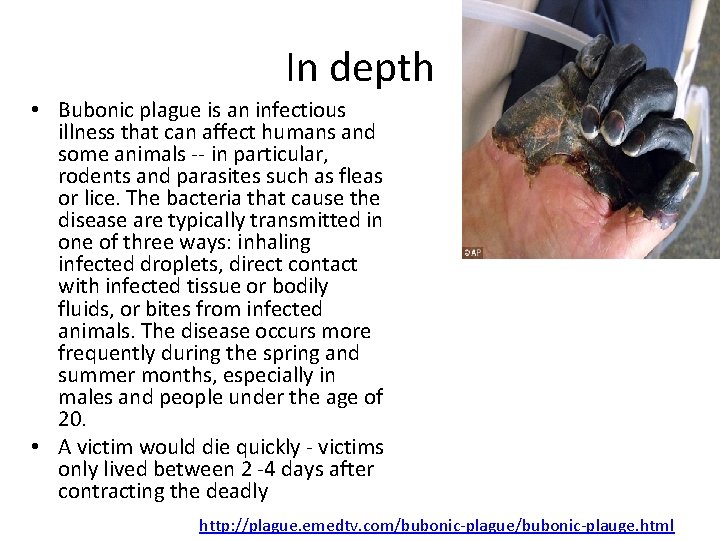 In depth • Bubonic plague is an infectious illness that can affect humans and