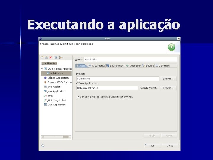 Executando a aplicação 