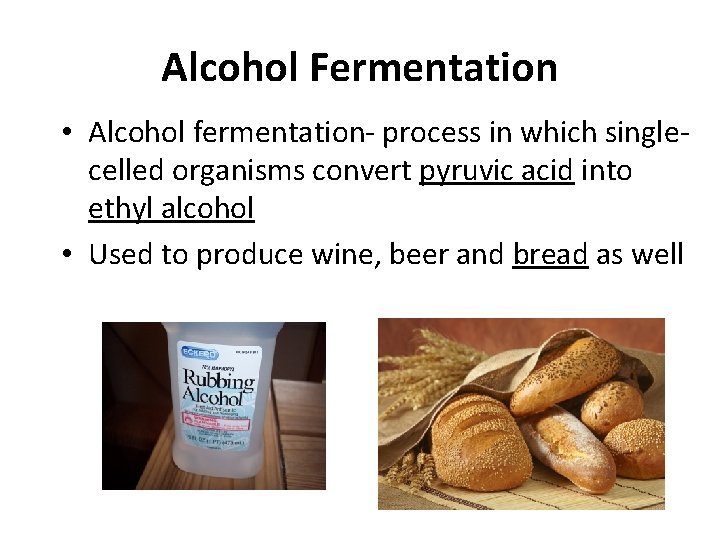 Alcohol Fermentation • Alcohol fermentation- process in which singlecelled organisms convert pyruvic acid into