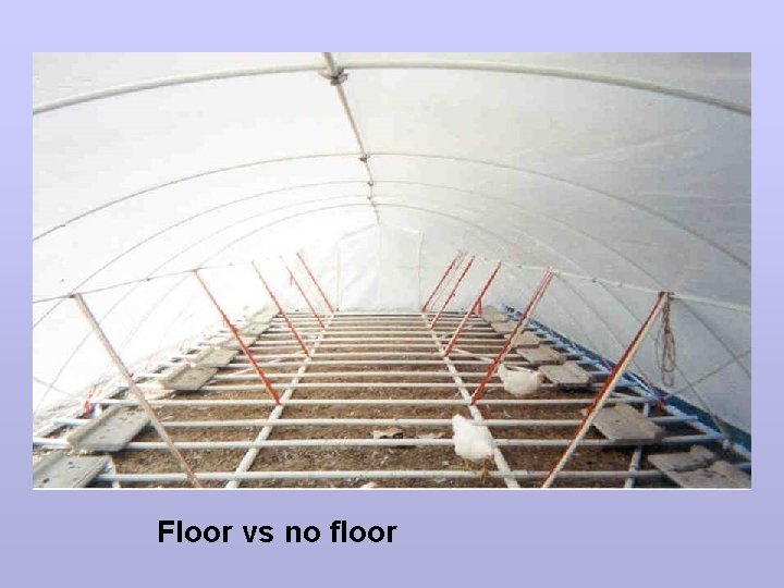 Floor vs no floor 
