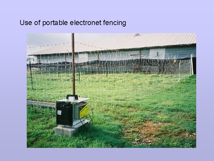 Use of portable electronet fencing 