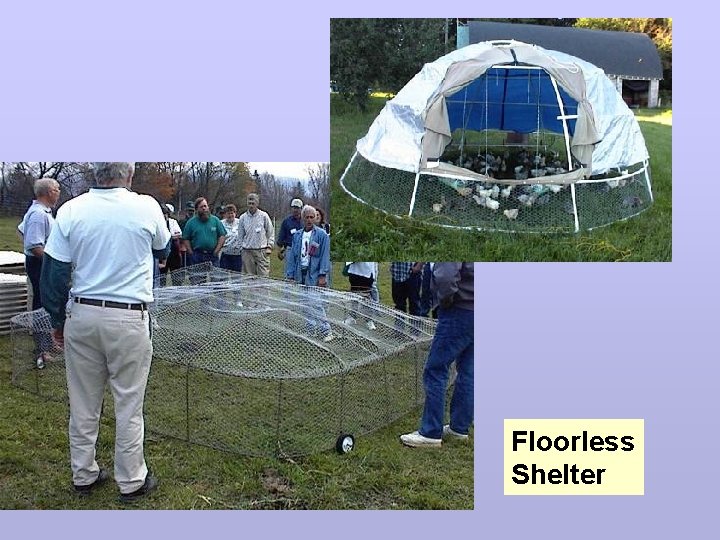 Floorless Shelter 