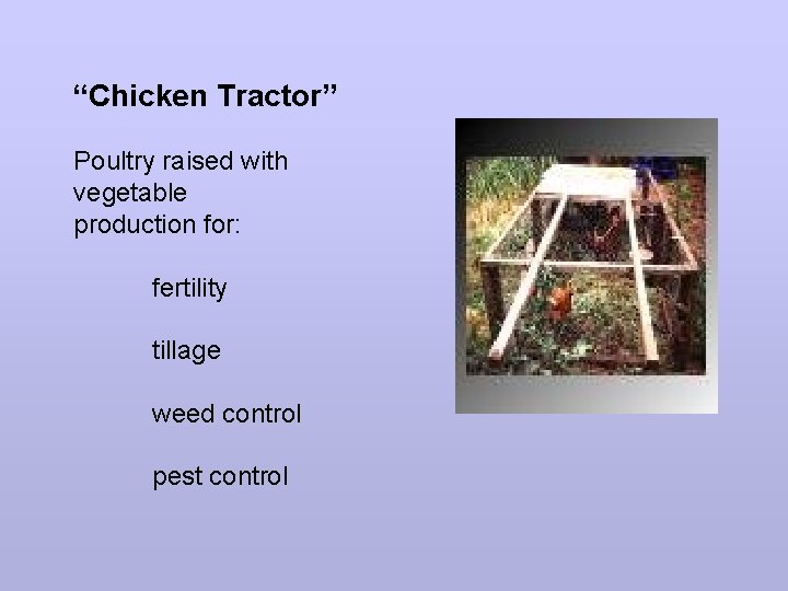 “Chicken Tractor” Poultry raised with vegetable production for: fertility tillage weed control pest control