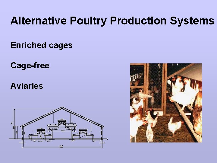 Alternative Poultry Production Systems Enriched cages Cage-free Aviaries 