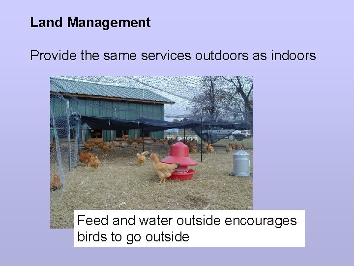 Land Management Provide the same services outdoors as indoors Feed and water outside encourages