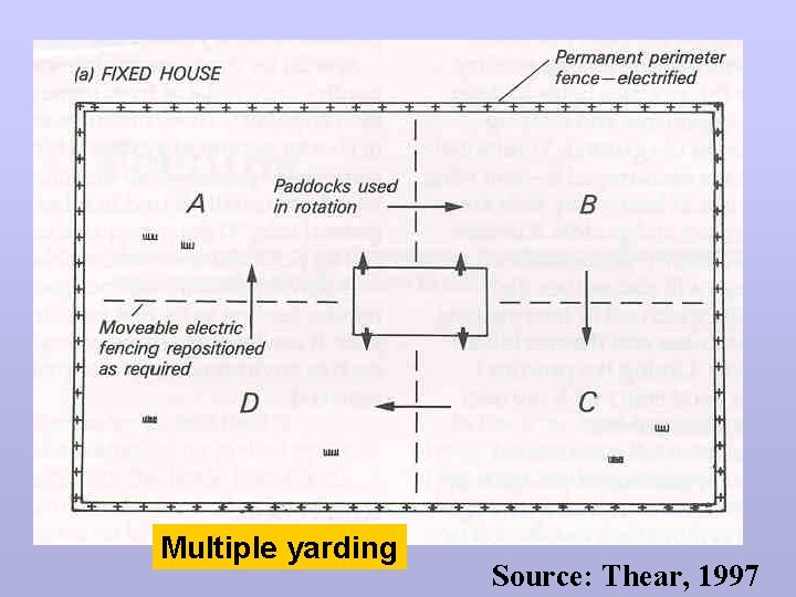 Multiple yarding Source: Thear, 1997 