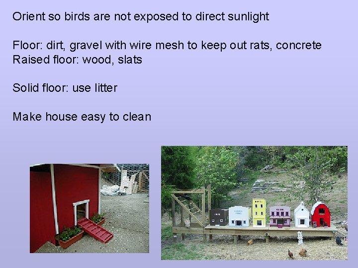Orient so birds are not exposed to direct sunlight Floor: dirt, gravel with wire
