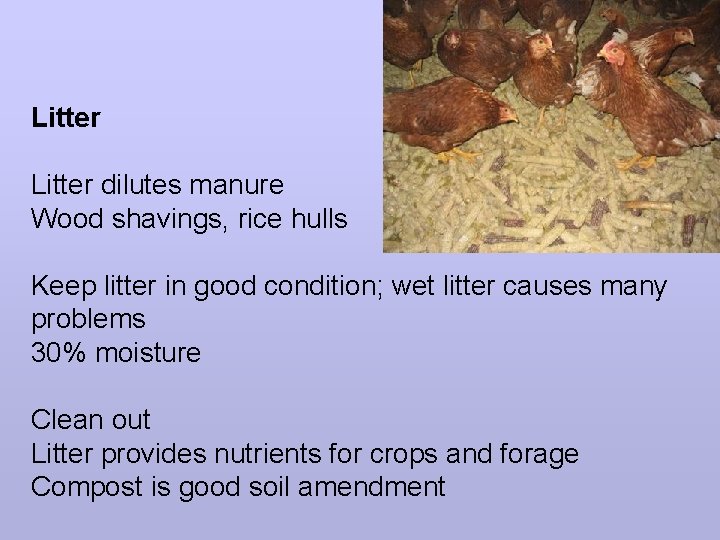 Litter dilutes manure Wood shavings, rice hulls Keep litter in good condition; wet litter