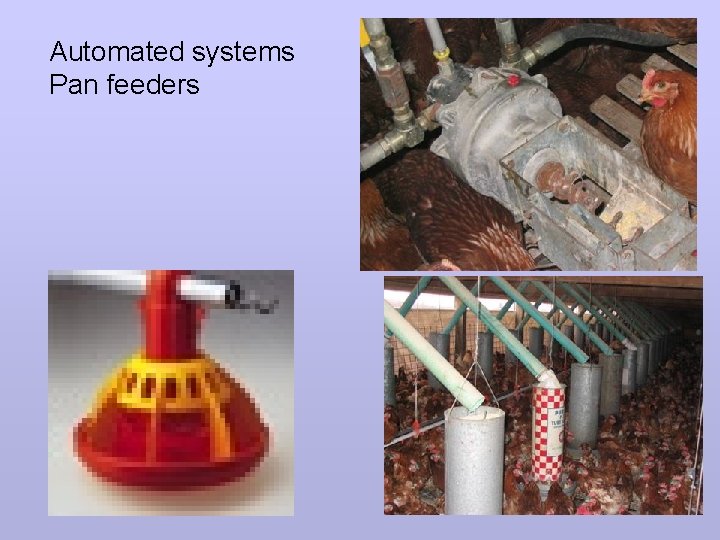 Automated systems Pan feeders 