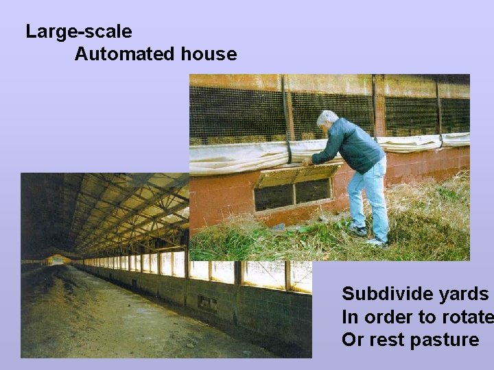 Large-scale Automated house Subdivide yards In order to rotate Or rest pasture 