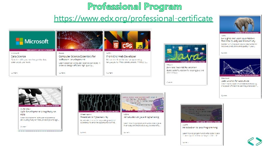 Professional Program https: //www. edx. org/professional-certificate 