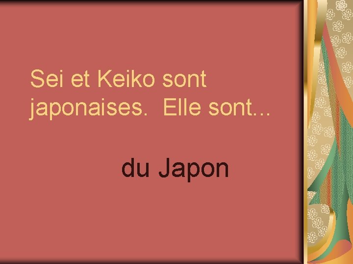 Sei et Keiko sont japonaises. Elle sont. . . du Japon 