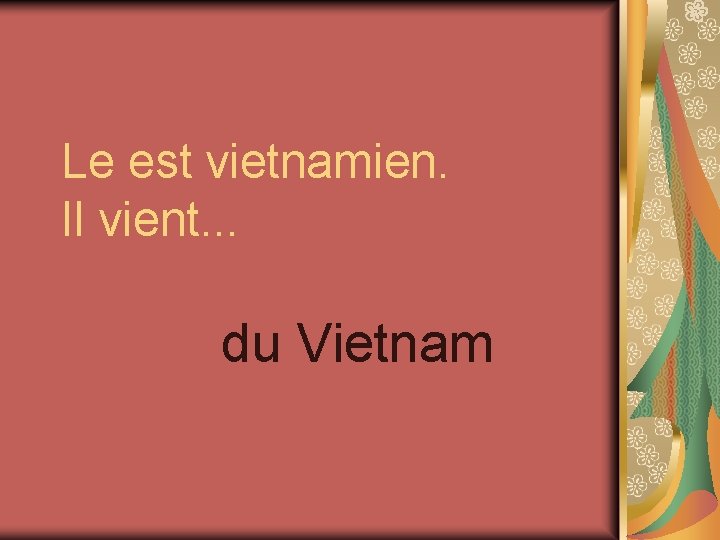 Le est vietnamien. Il vient. . . du Vietnam 